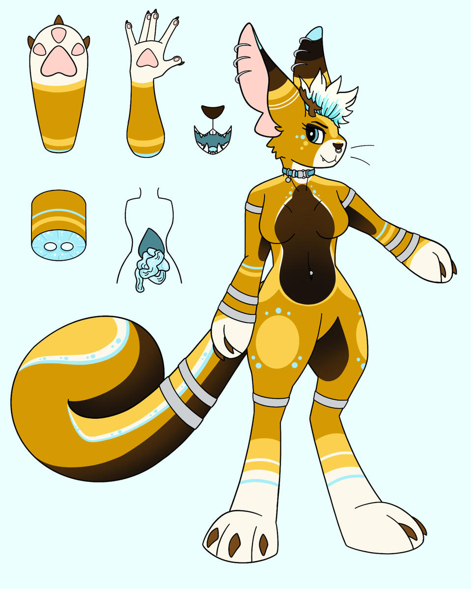 simple design; simple ref